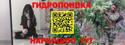 прущие крисы Будённовск